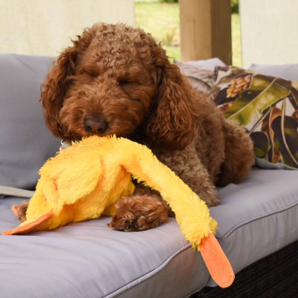 FGA MARKETPLACE Duck Flat No-Squeak Toy machine washable for easy cleaning