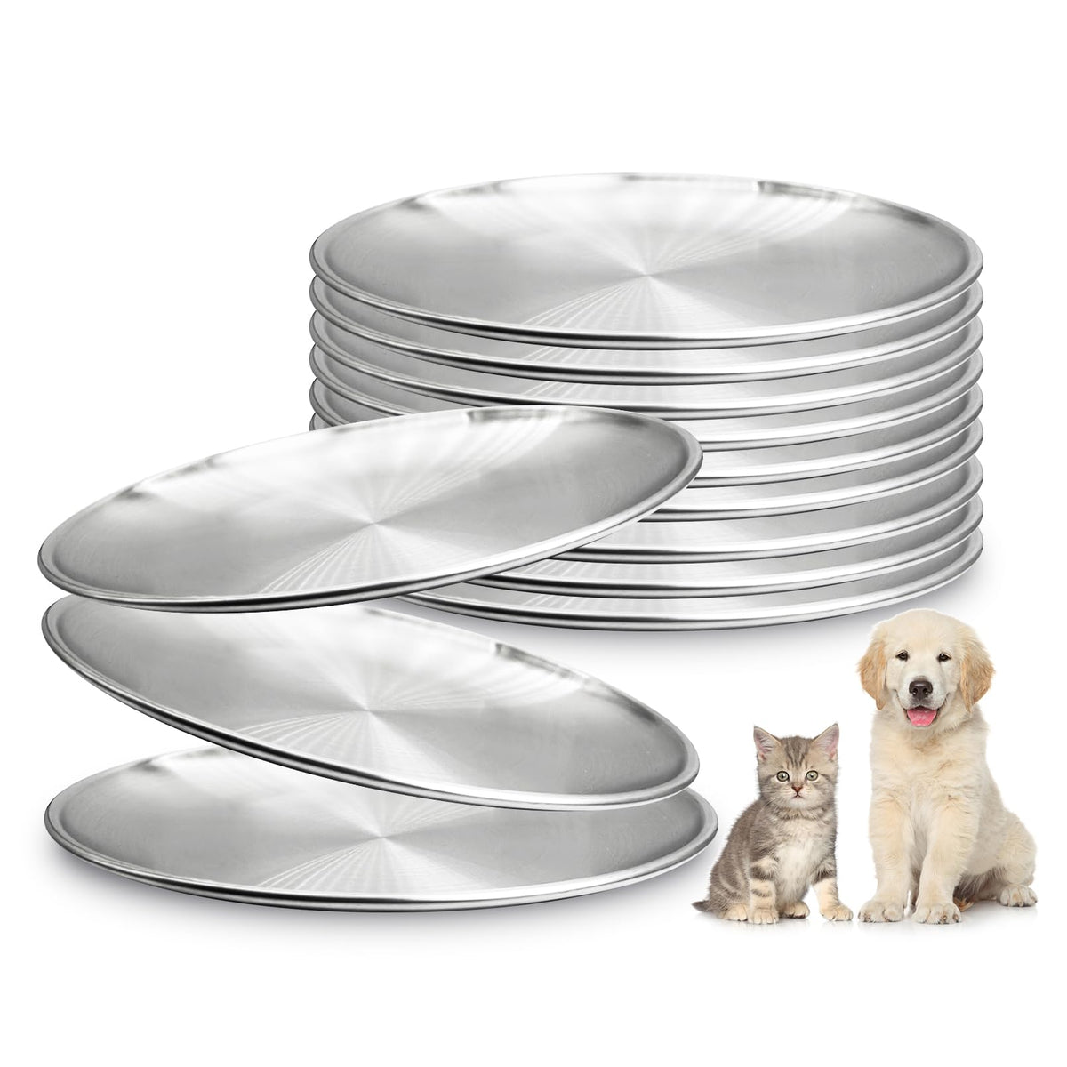 Fhiny 12-piece stainless steel cat bowls set with wide shallow design for whisker comfort.