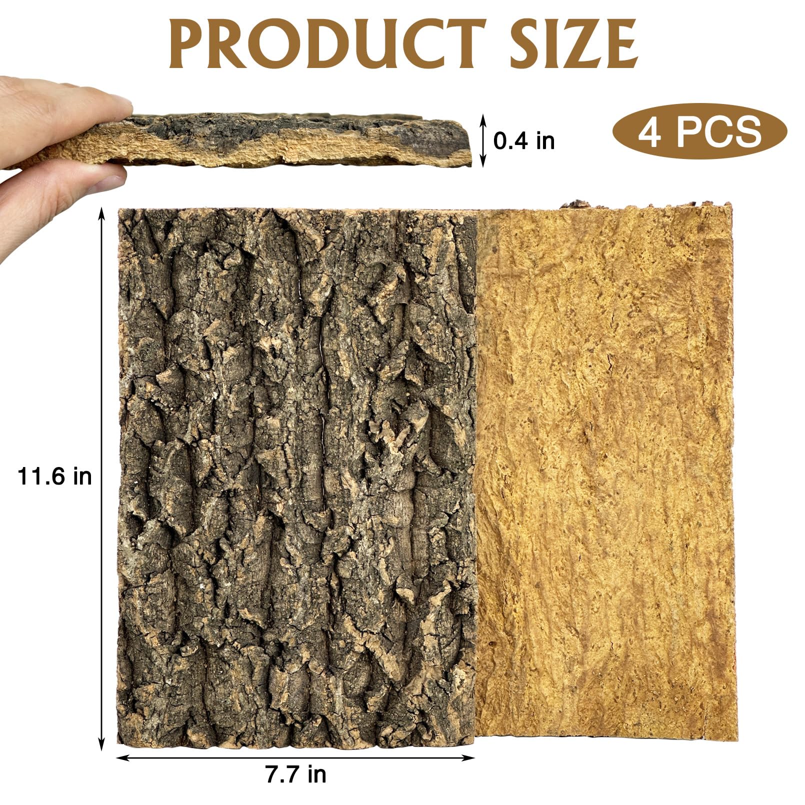 Fhiny cork bark texture closeup highlights rough surface ideal for climbing.
