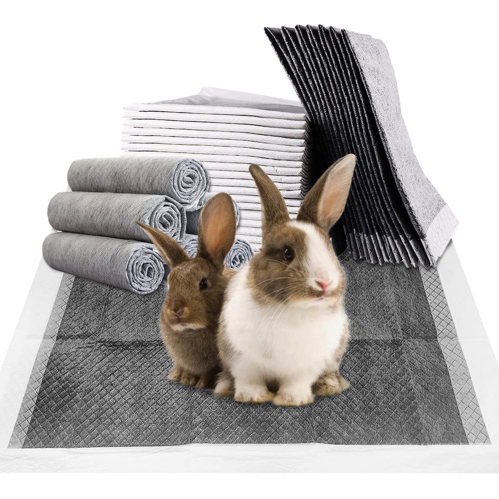 Fhiny rabbit pee pads packaging shows a 100-count box for easy restocking.