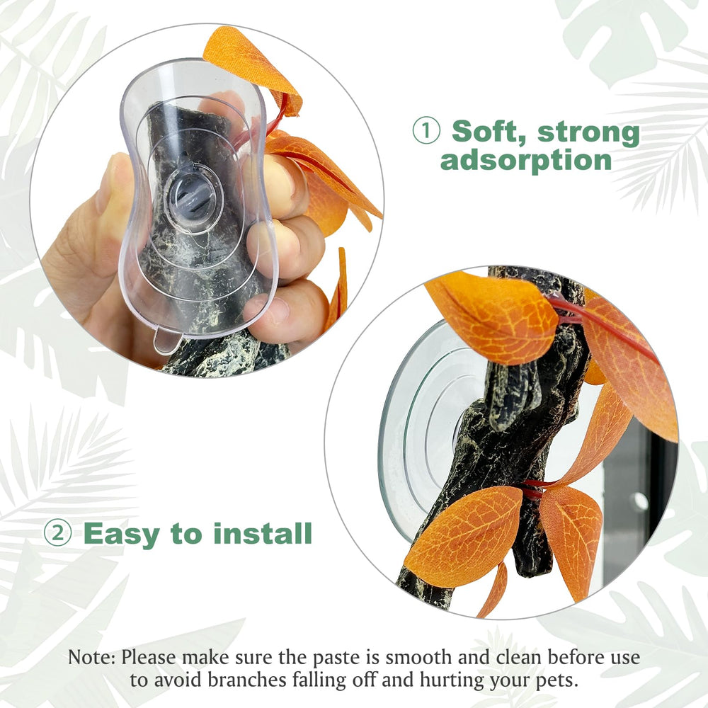 Fhiny terrarium accessory adds natural climbing structure