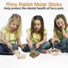 Fhiny small animal enjoying the chew sticks in its cage.