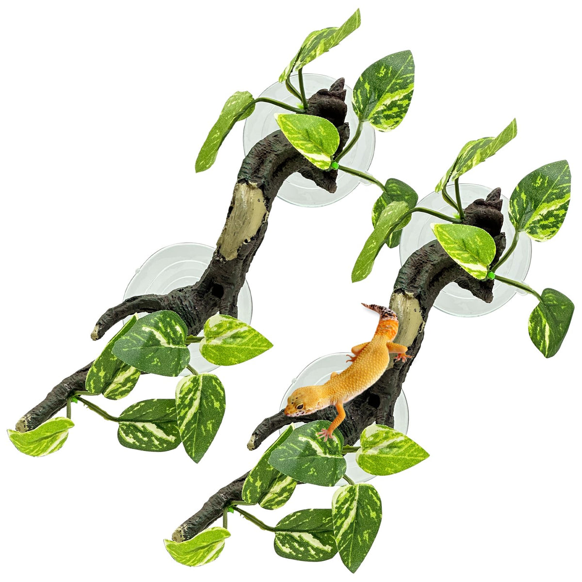Fhiny snake climbing branch 2pcs resin offers a natural climbing area for reptiles.