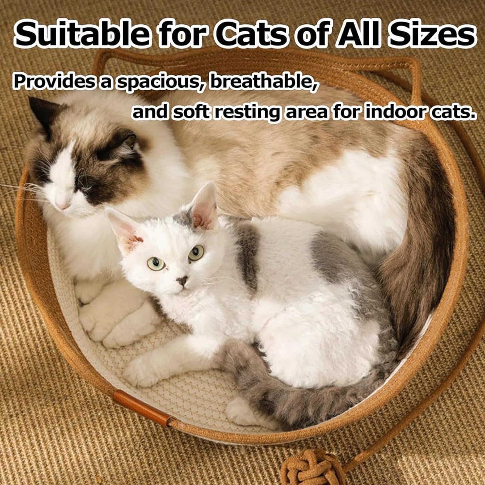 FHKPET Instinct Basket high walls provide a secure retreat for anxious cats