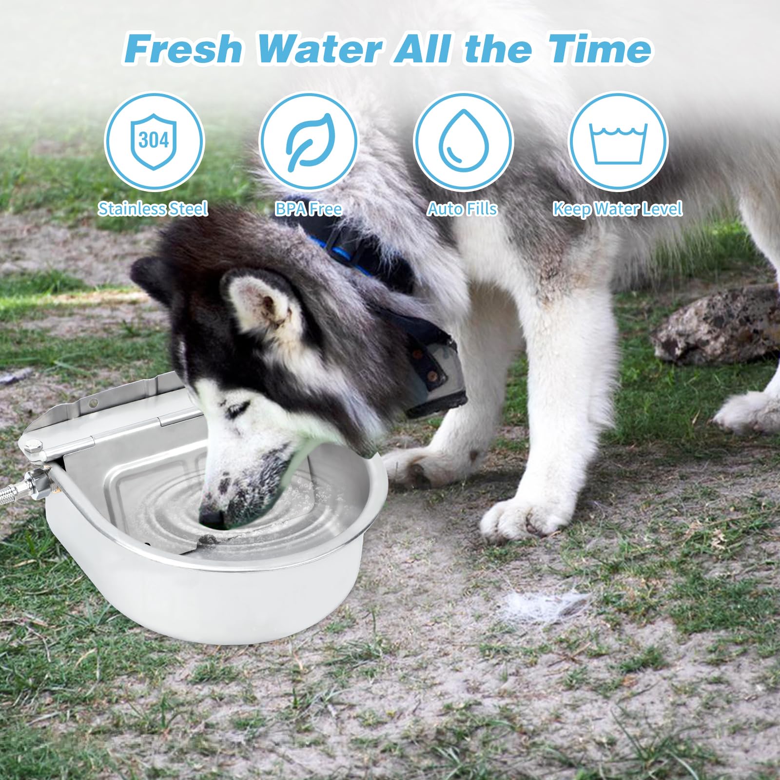 FHTONGE 1-gallon capacity suited for large dogs and multi-pet farms.