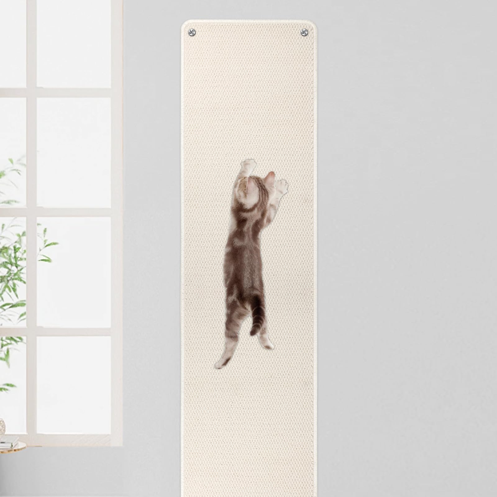 FHTONGE 71x15.8 wall scratcher top view offers ample surface for stretching