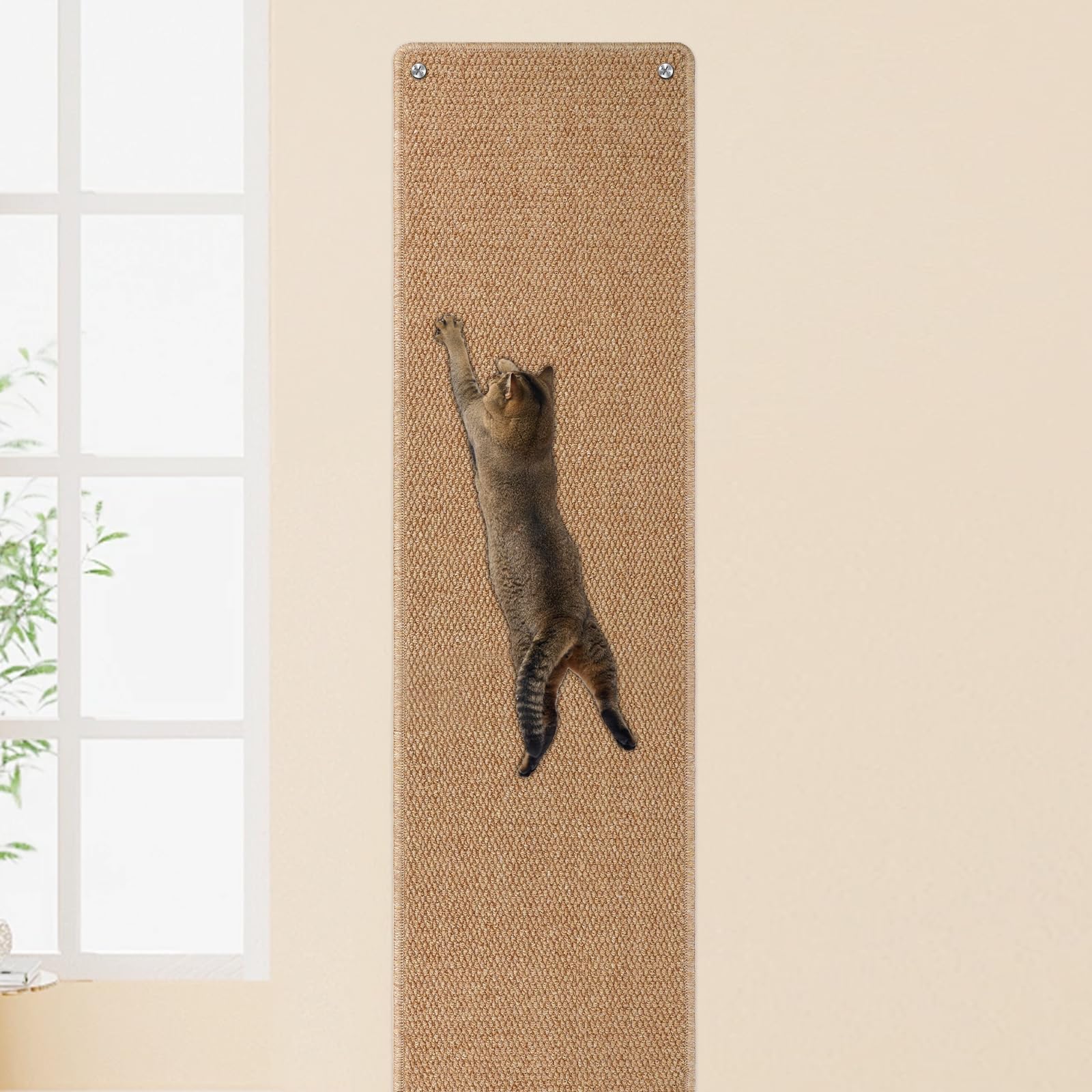 FHTONGE wall scratcher front view shows large surface for several cats