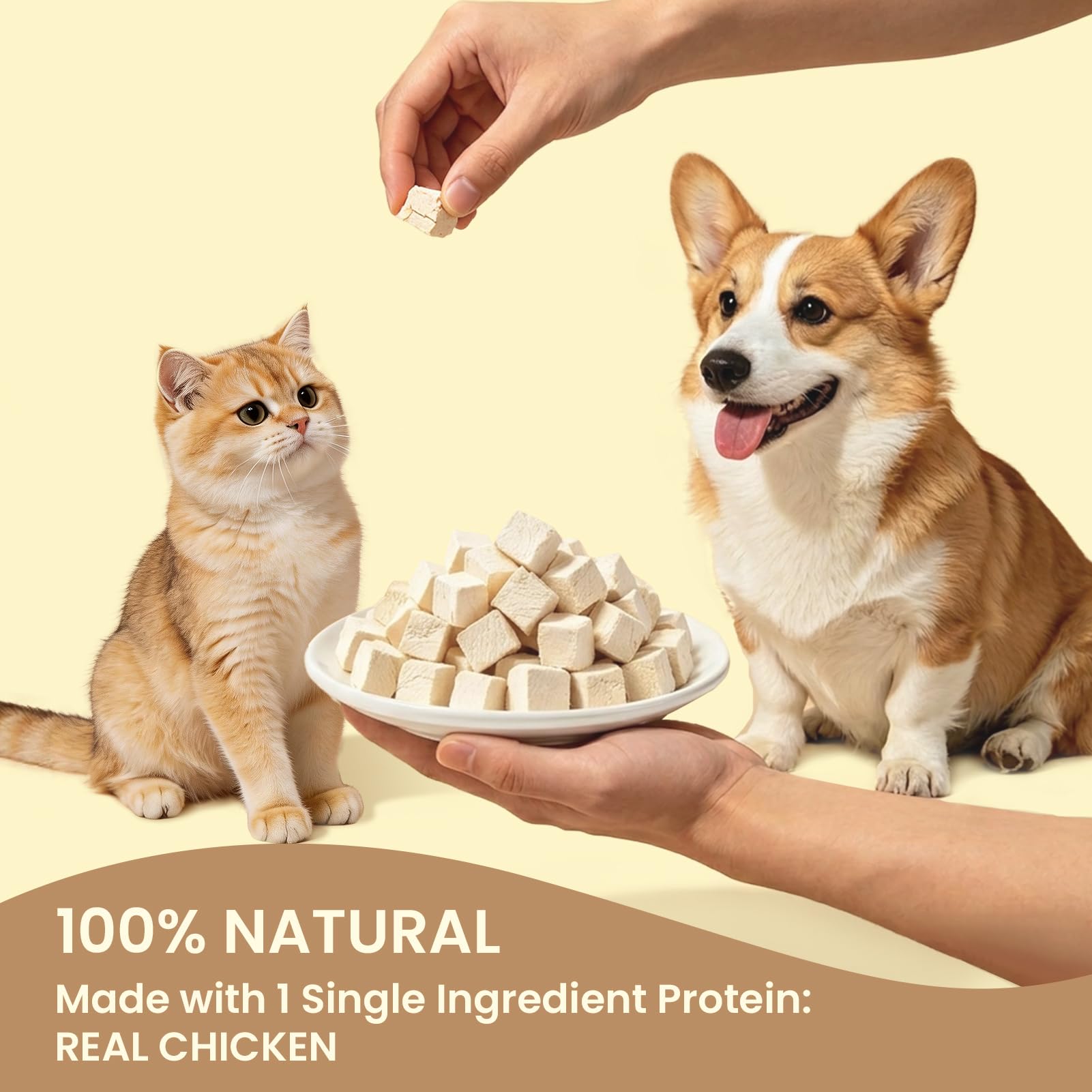 FHZRLP age-inclusive snack image shows treats suitable for all ages.