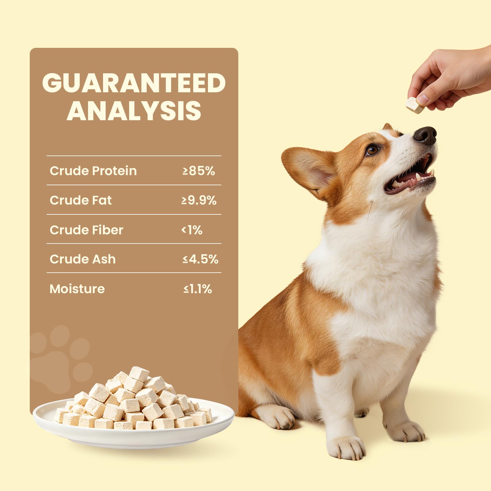 FHZRLP soaked-treat display demonstrates hydration-friendly feeding option.