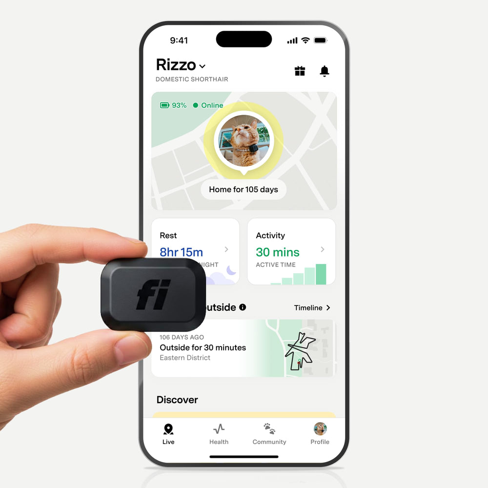 Fi Mini GPS Tracker on a cat collar provides real-time location tracking for peace of mind.