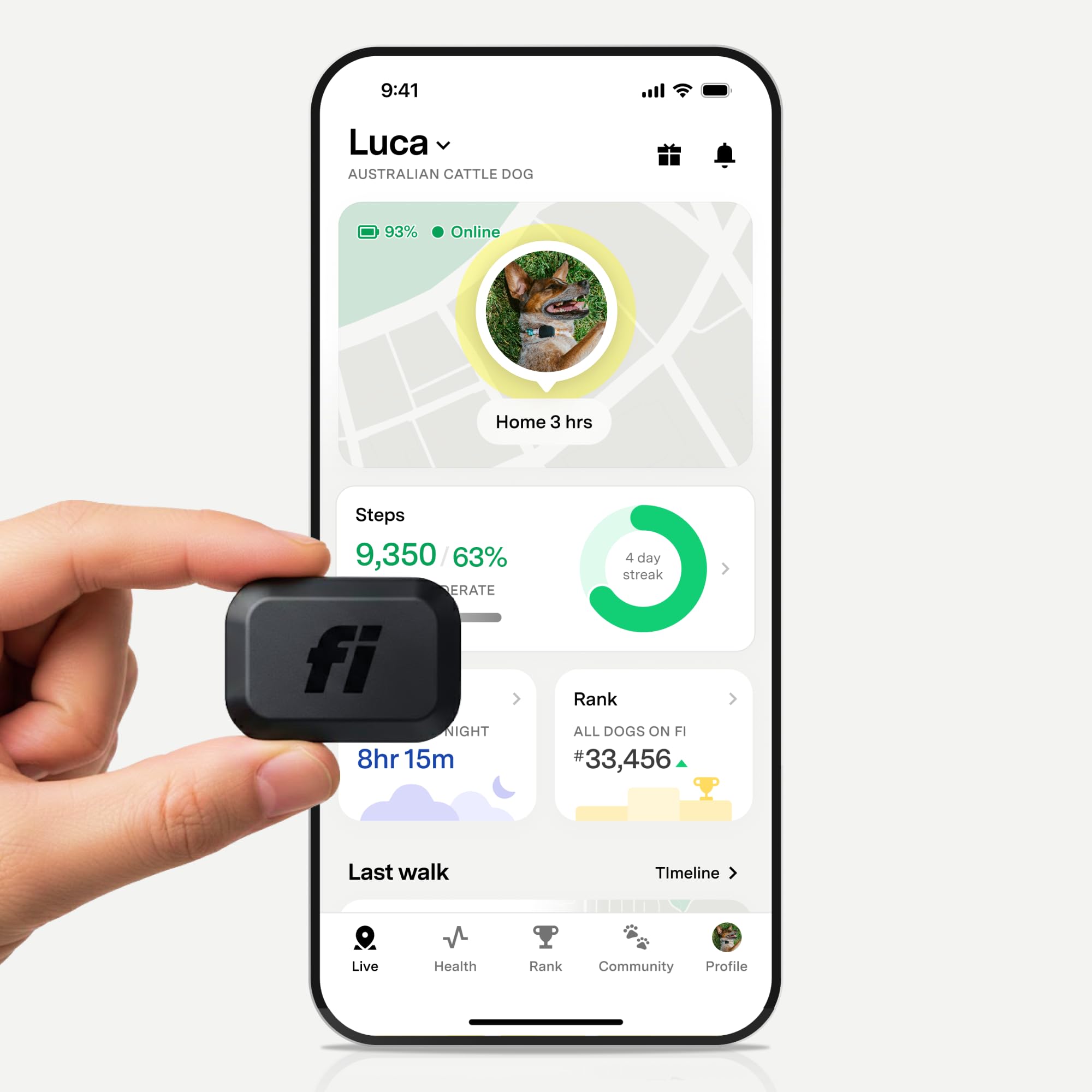 Fi Mini real-time GPS tracker for dogs, stay connected during every adventure.