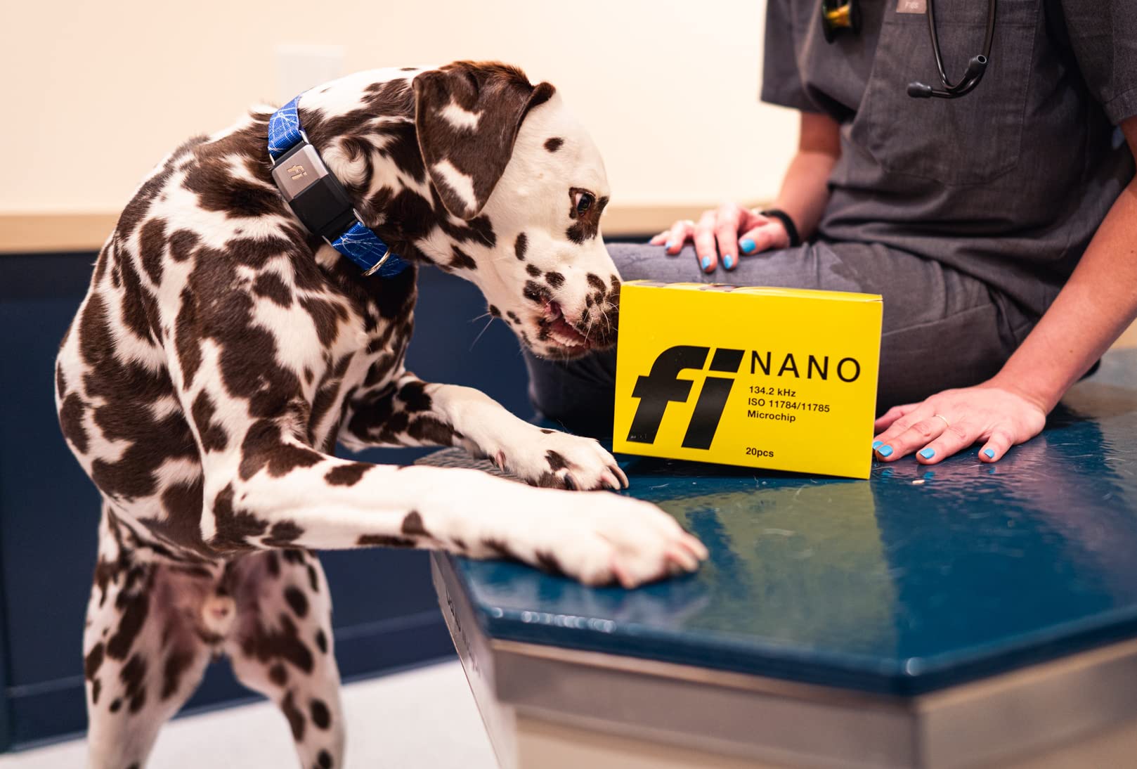 Fi Nano microchip ISO ICAR label indicates international compatibility.