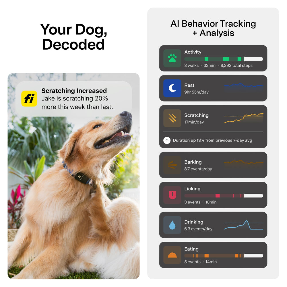 Fi Series 3+ Apple Watch integration shows live location and activity