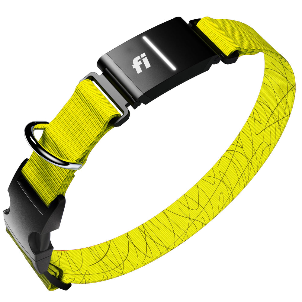 Fi New Series 3+ collar shows live location for quick safety checks.