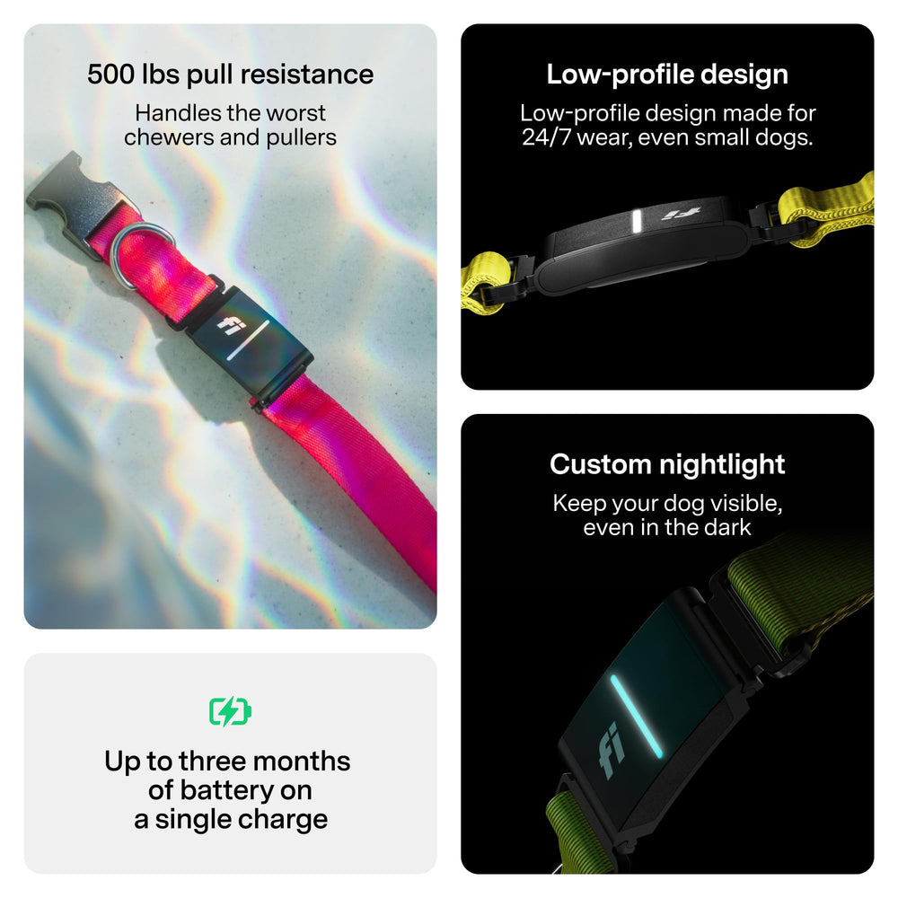 Fi New Series 3+ Apple Watch compatibility screen showing live location and activity.