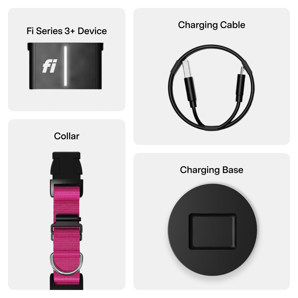 Fi Series 3+ Apple Watch integration for on-wrist location and activity view.