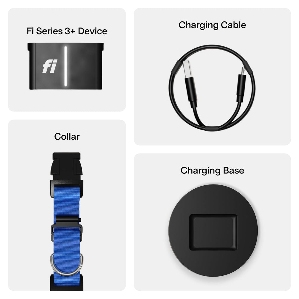 Fi Series 3+ Apple Watch integration enables live location and reminders.