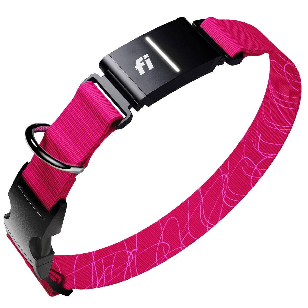 Fi Series 3+ dog tracker worn on the collar for real-time location awareness.