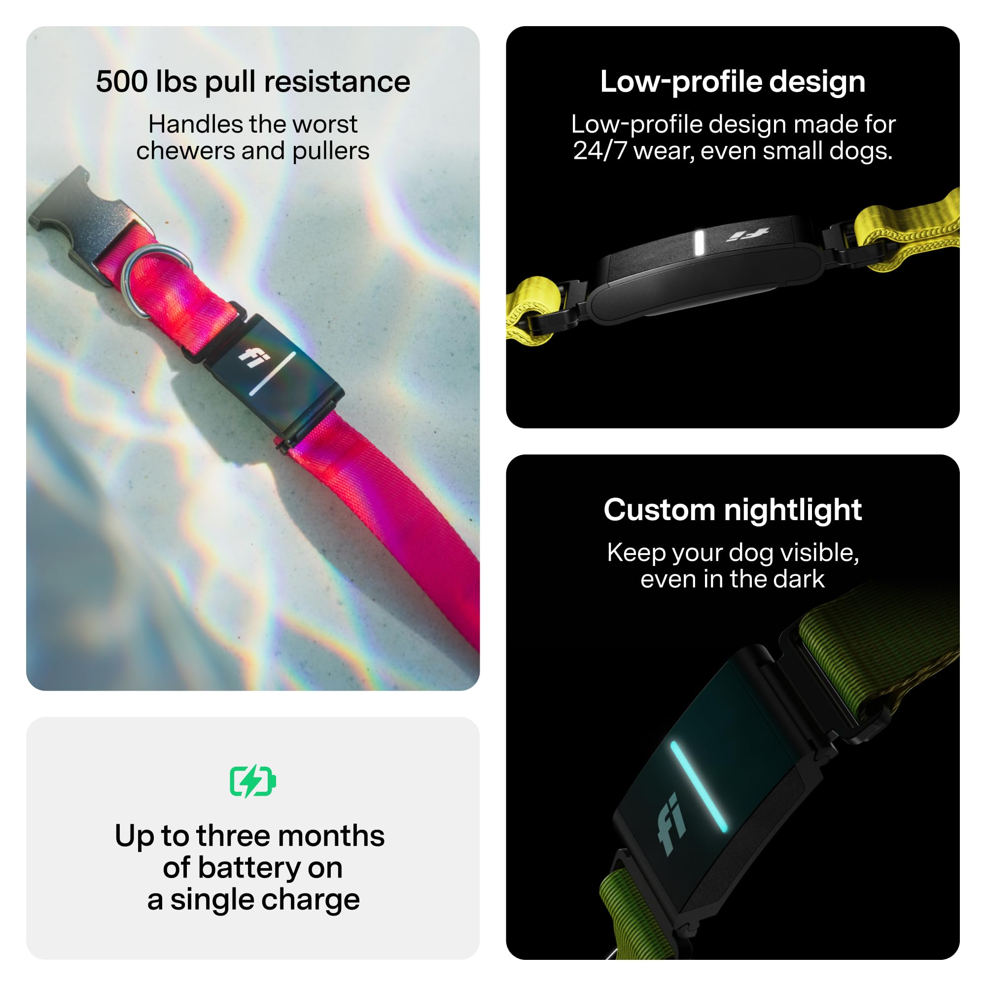 Fi Series 3+ escape alerts notify you instantly if your dog exits.