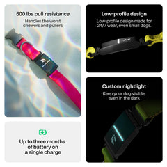 Fi Series 3+ escape alerts notify you instantly if your dog exits.