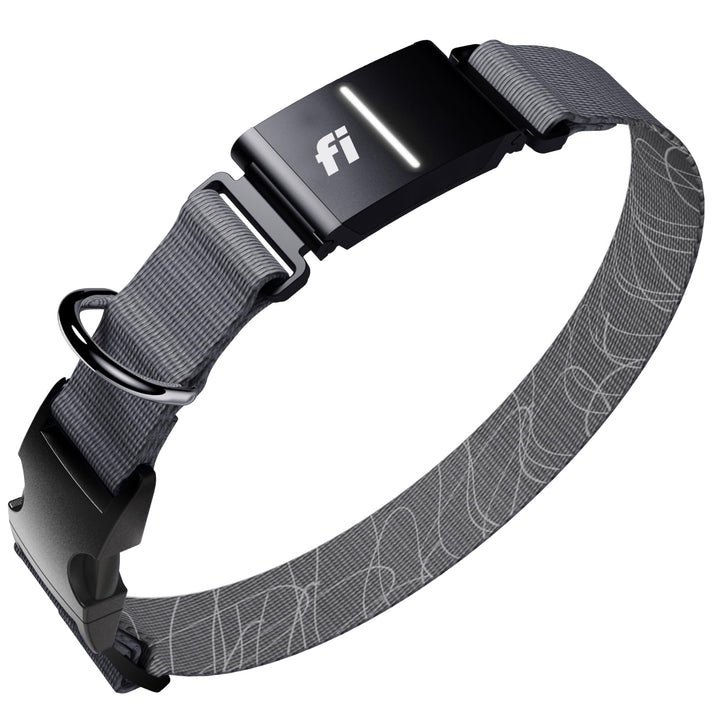Fi Series 3+ GPS location overview for real-time tracking and peace of mind.