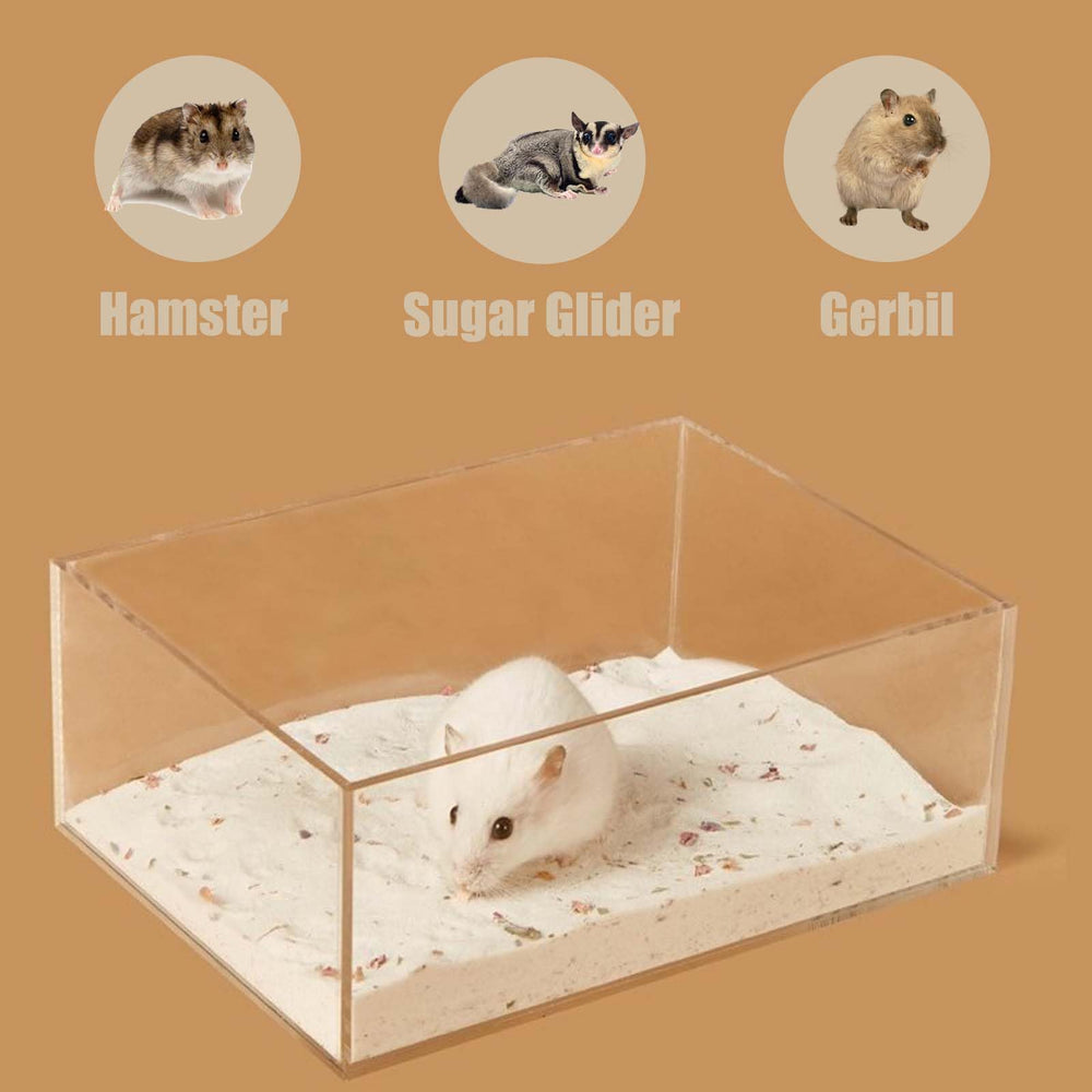 Fibopawer small pet enrichment play option supports exploration and fun.