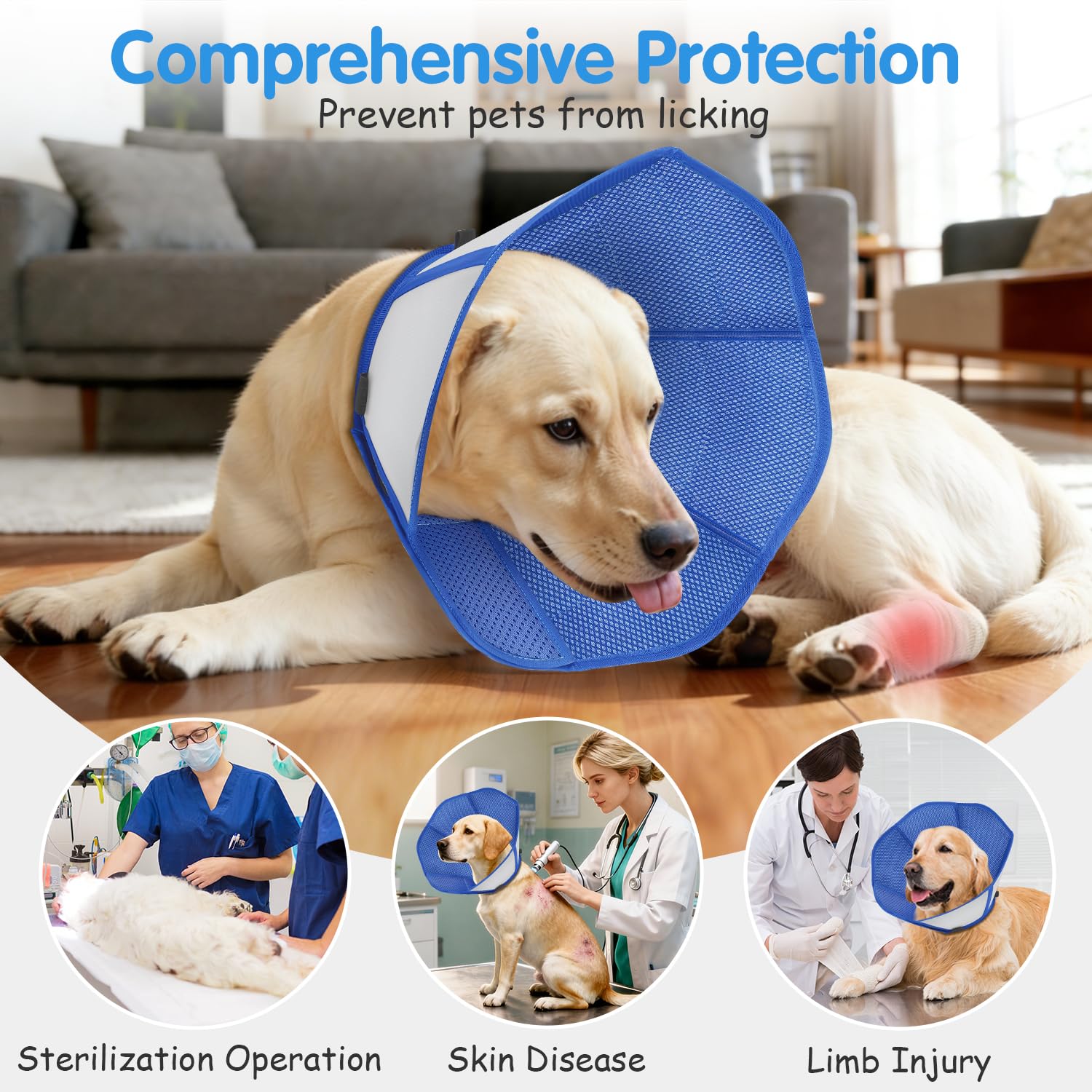 Fickte dog cone with adjustable Velcro for a secure fit during recovery