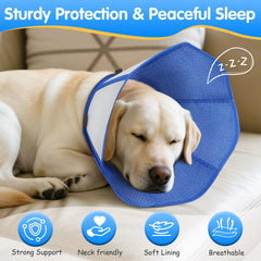 Fickte dog cone soft lining provides gentle neck support for recovery