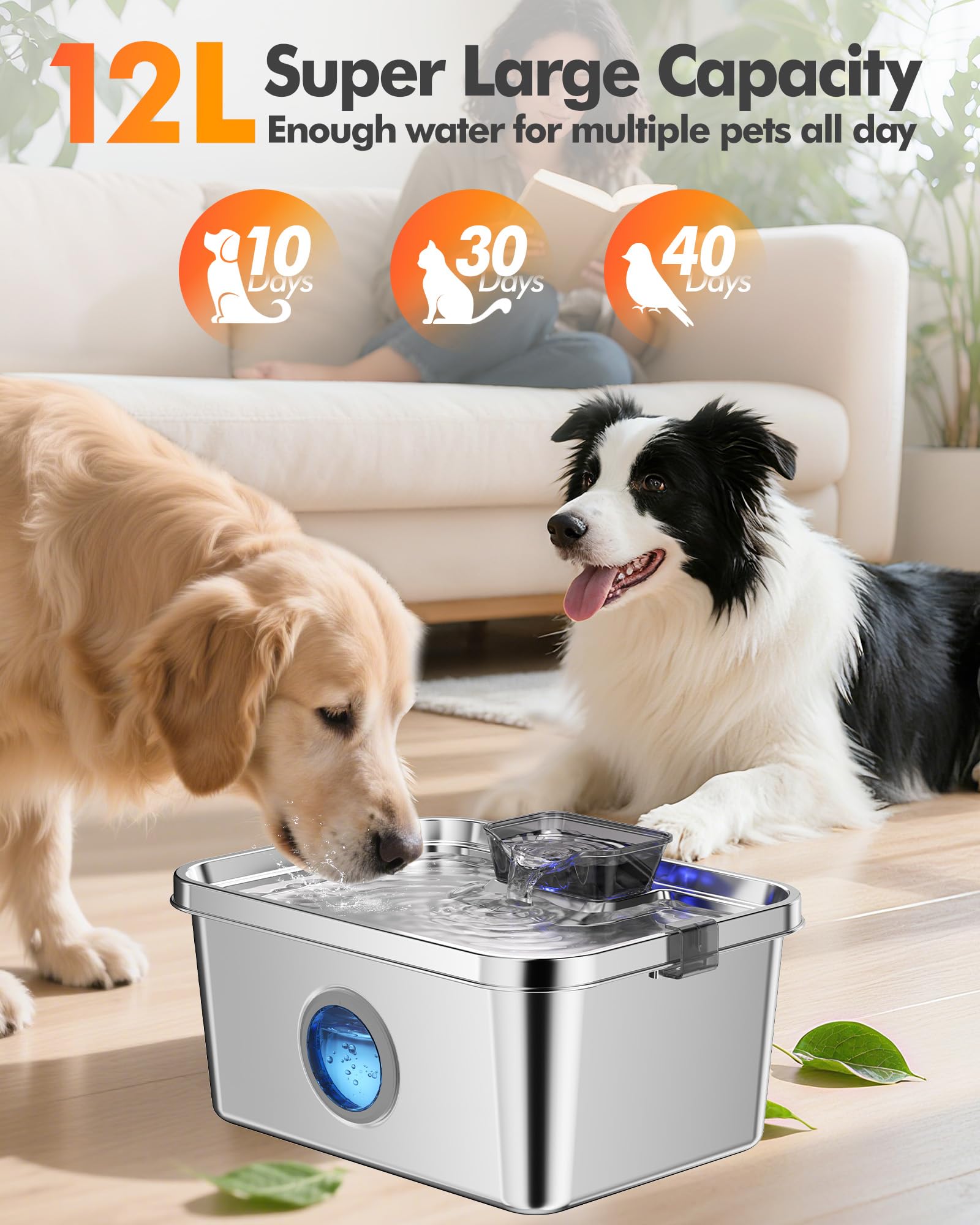 Ficuswin complete kit with filters, pump, and adapter