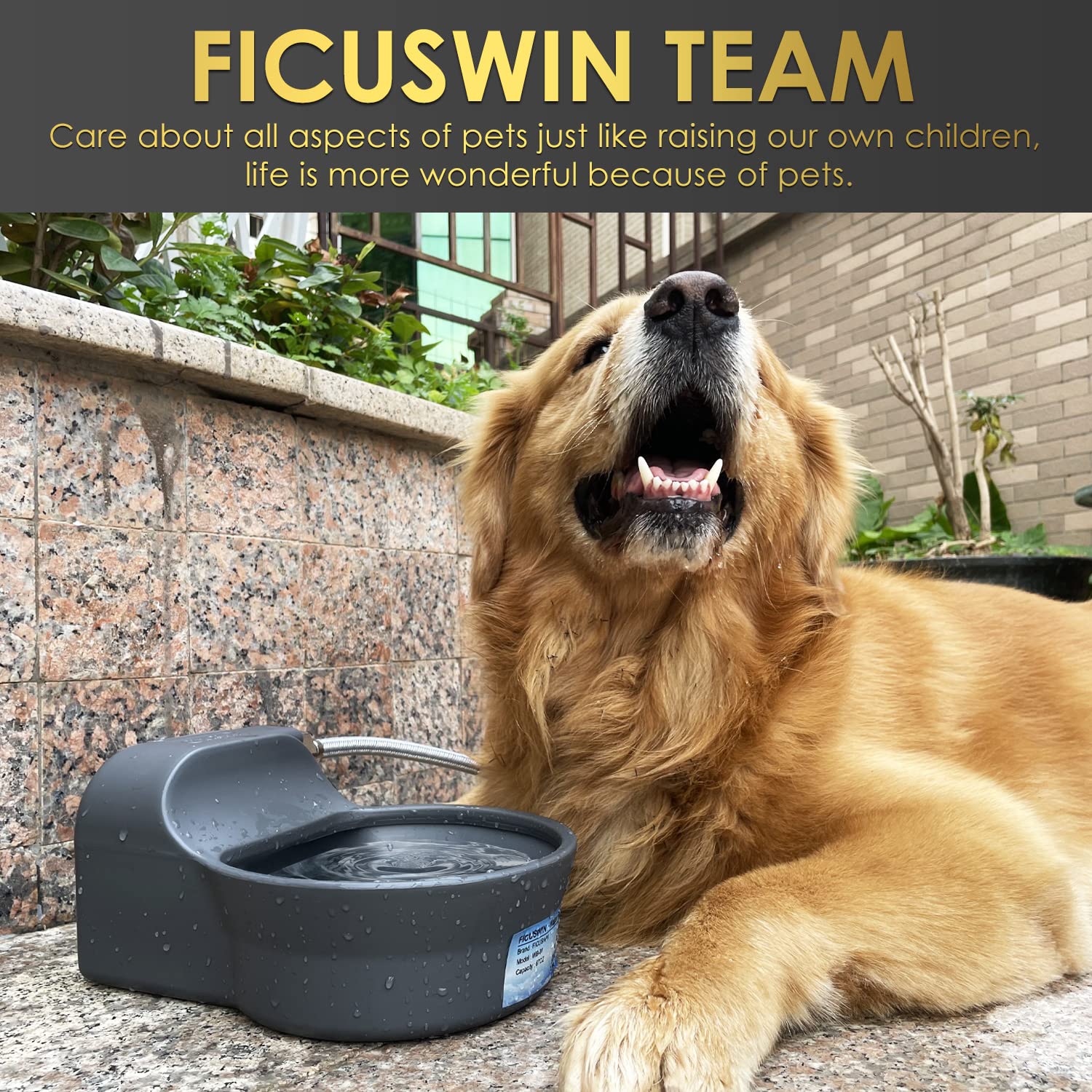 Ficuswin easy-clean design simplifies maintenance between uses.
