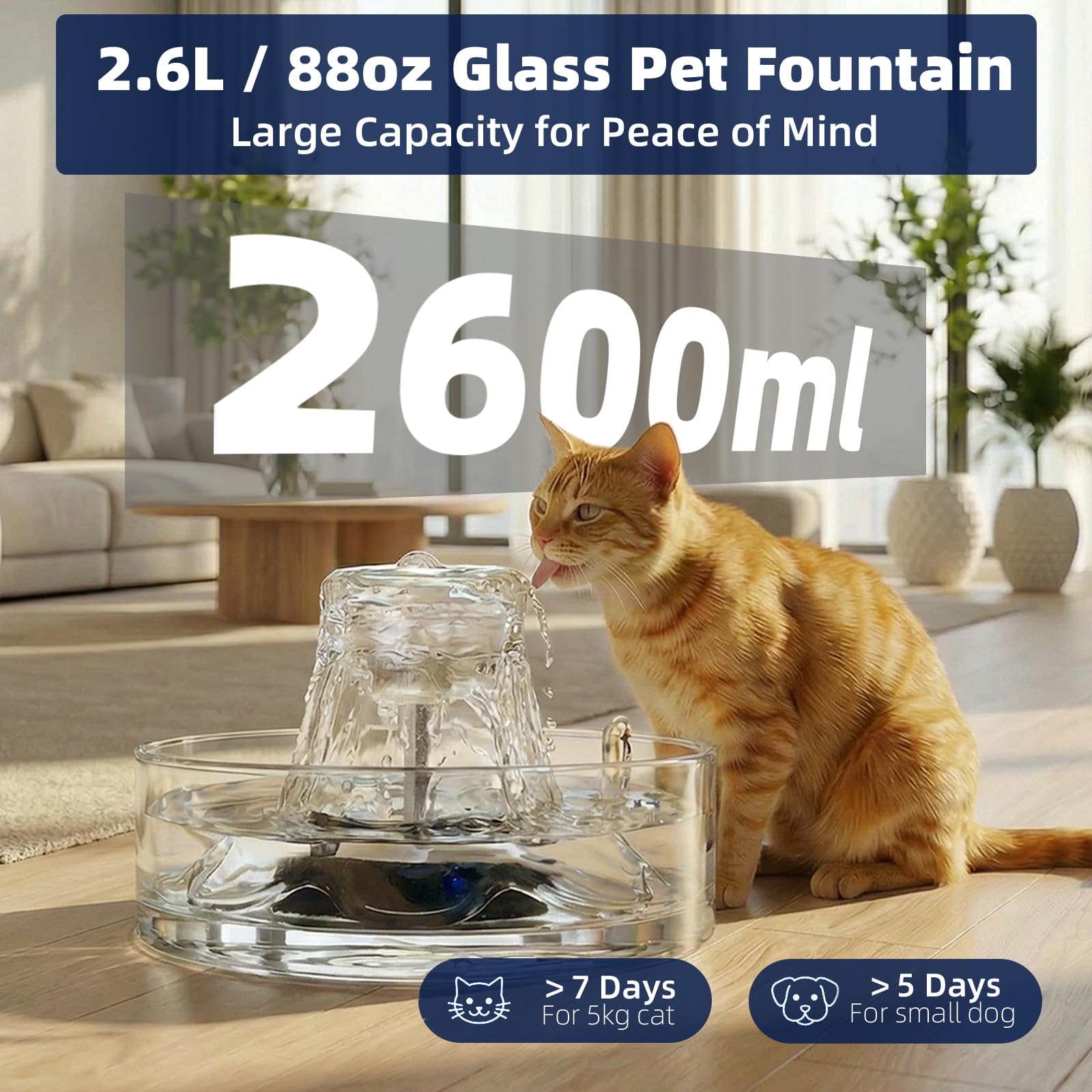 Ficuswin glass cat fountain water-level view helps quick refills.