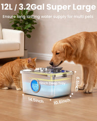 Ficuswin wide, deep drinking area supports multiple pets