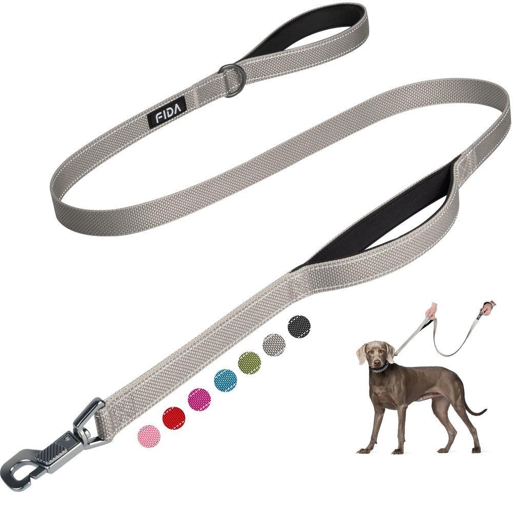 Fida 4 ft heavy duty leash with padded handles for comfortable daily walks.