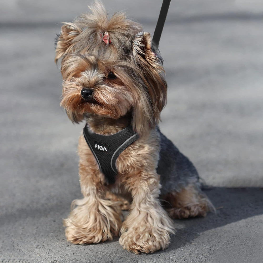 Fida 4 ft leash provides control without restricting movement.