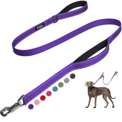 Fida 5 ft heavy duty dog leash in purple, ideal for outdoor walks and training