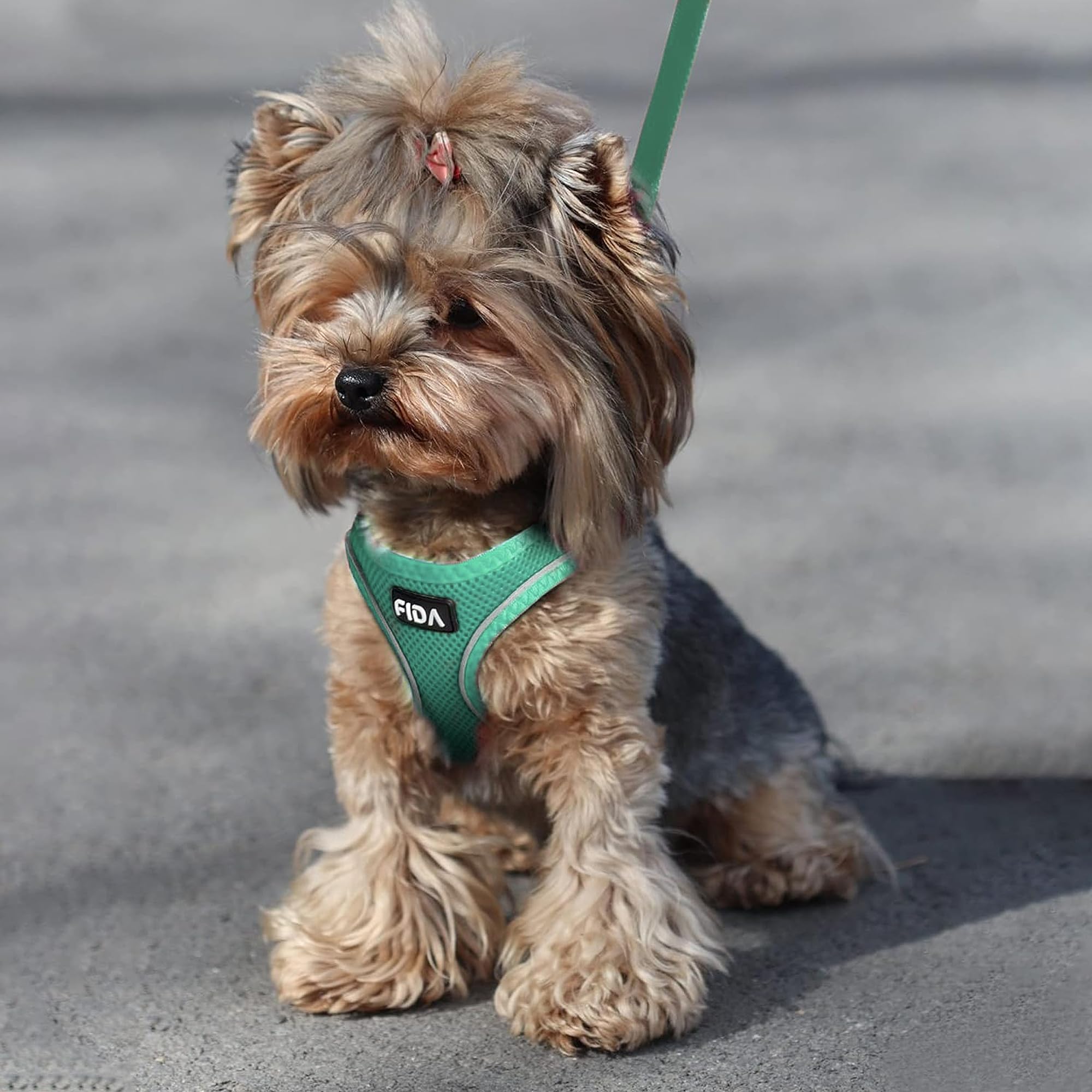 Fida adjustable straps on green harness ensure a snug fit as your pet grows.