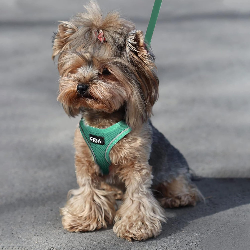 Fida adjustable straps on green harness ensure a snug fit as your pet grows.