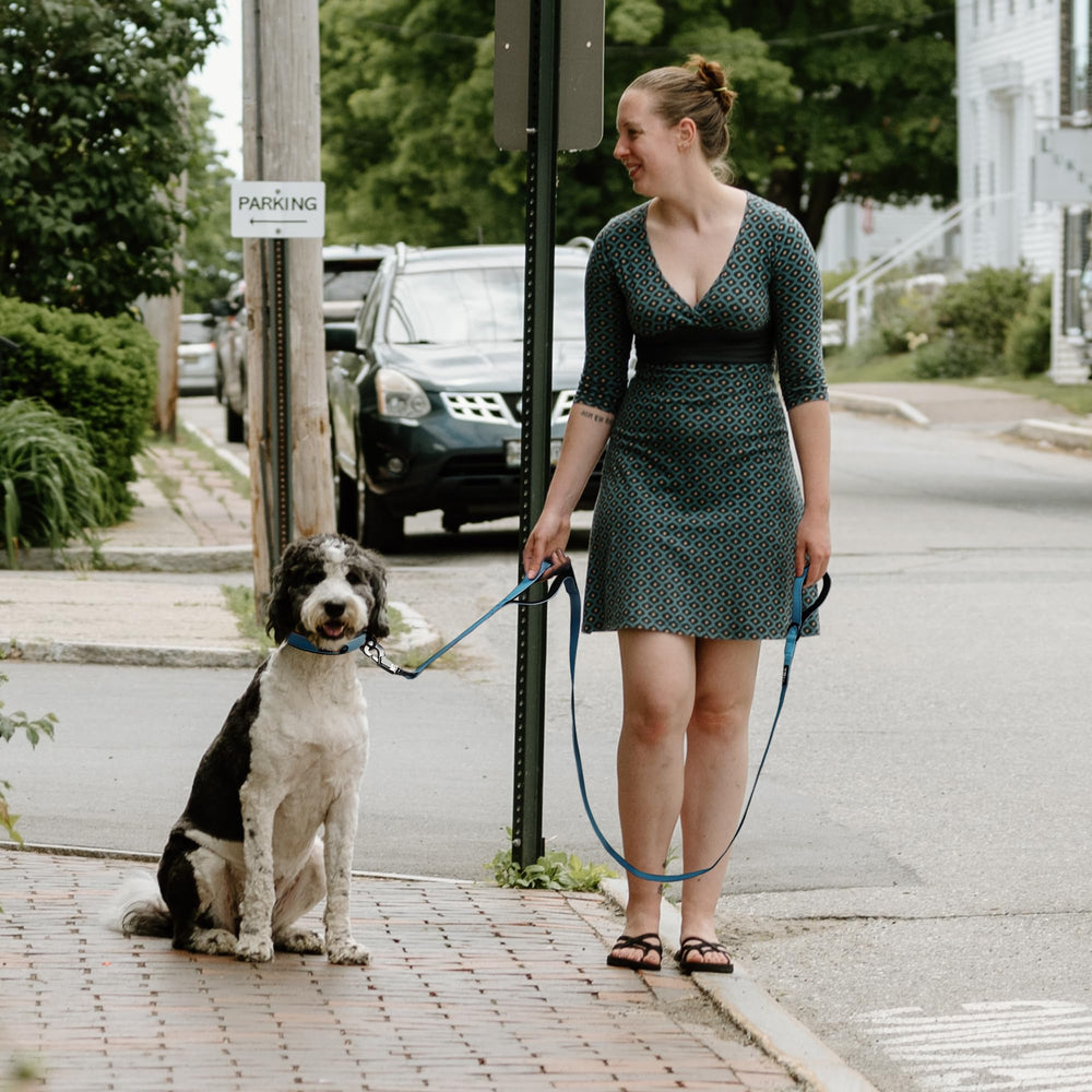 Fida blue 5ft dog leash combines safety and everyday usability