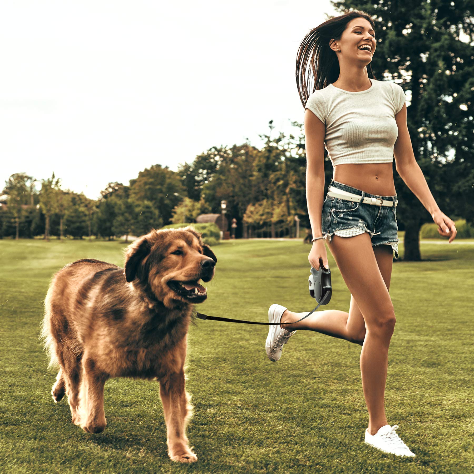 Fida compact 16 ft reach for small pets up to 26 lbs.