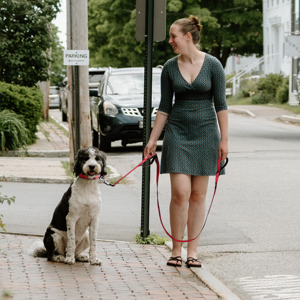 Fida leash featuring a 360-degree rustproof swivel clasp to prevent twisting