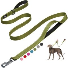 Fida dog leash 6ft heavy-duty nylon for long-lasting daily walks.