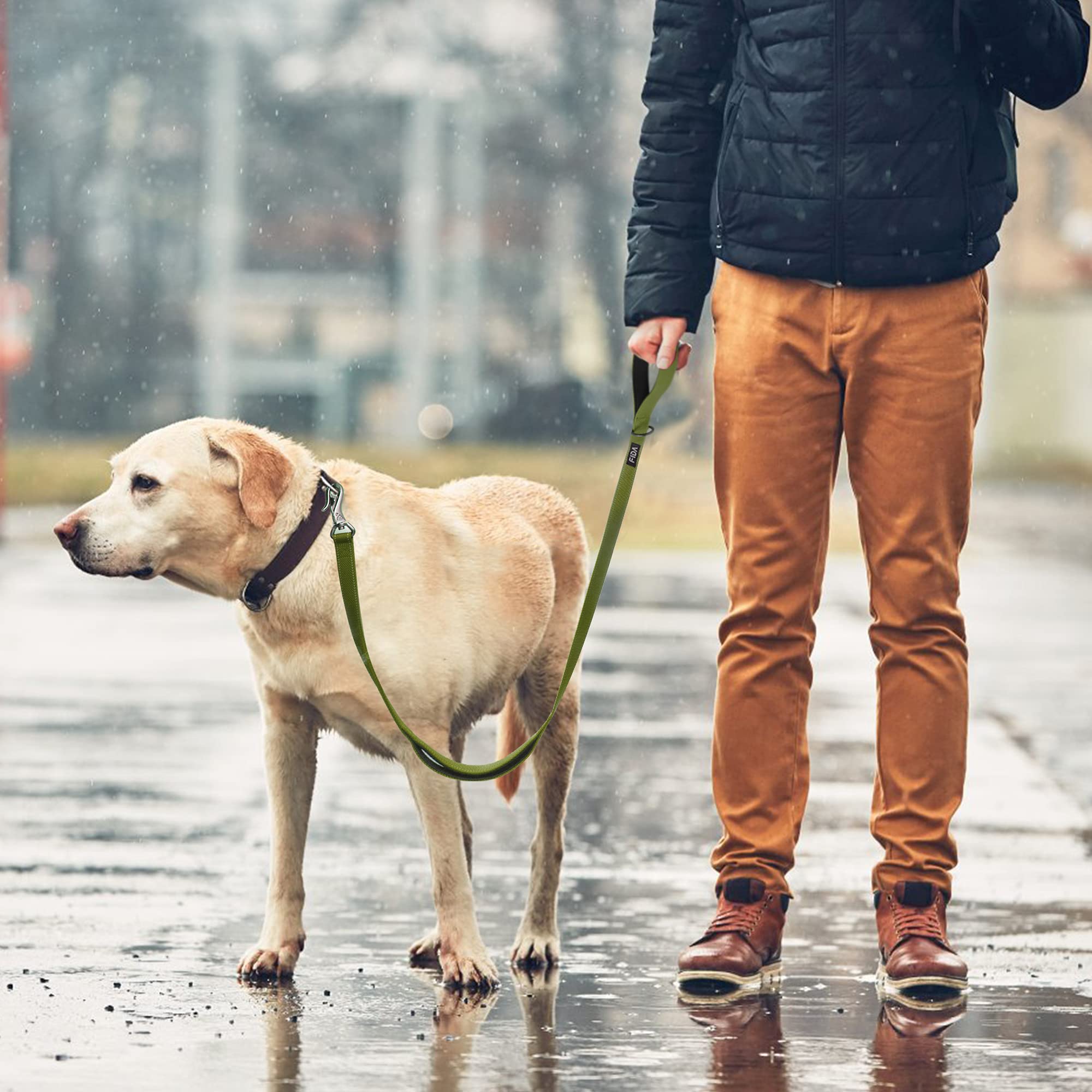 Fida dog leash green close-up showing safety and comfort features.