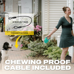 Fida leash reflects light for safer night strolls.