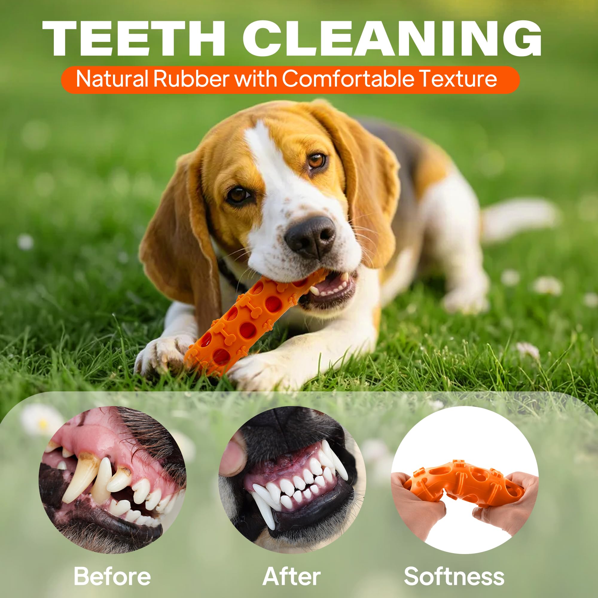 Fida fetch-friendly scene demonstrates durable design for small and medium dogs