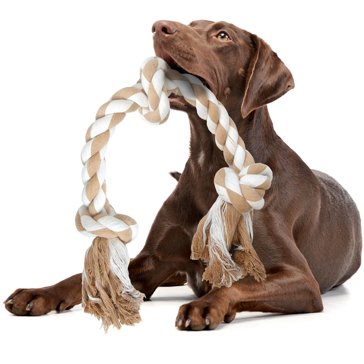 Fida dog rope toy with 3 knots, 2 ft long for strong chewers.
