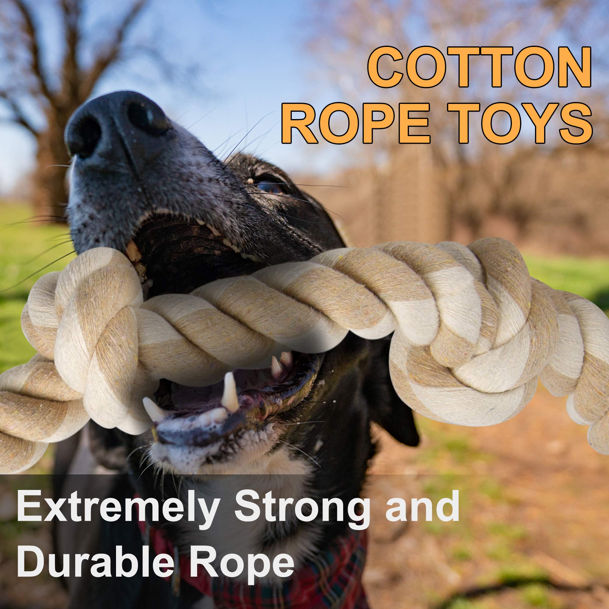 Fida rope toy with 5 knots provides secure grip and chewing action.
