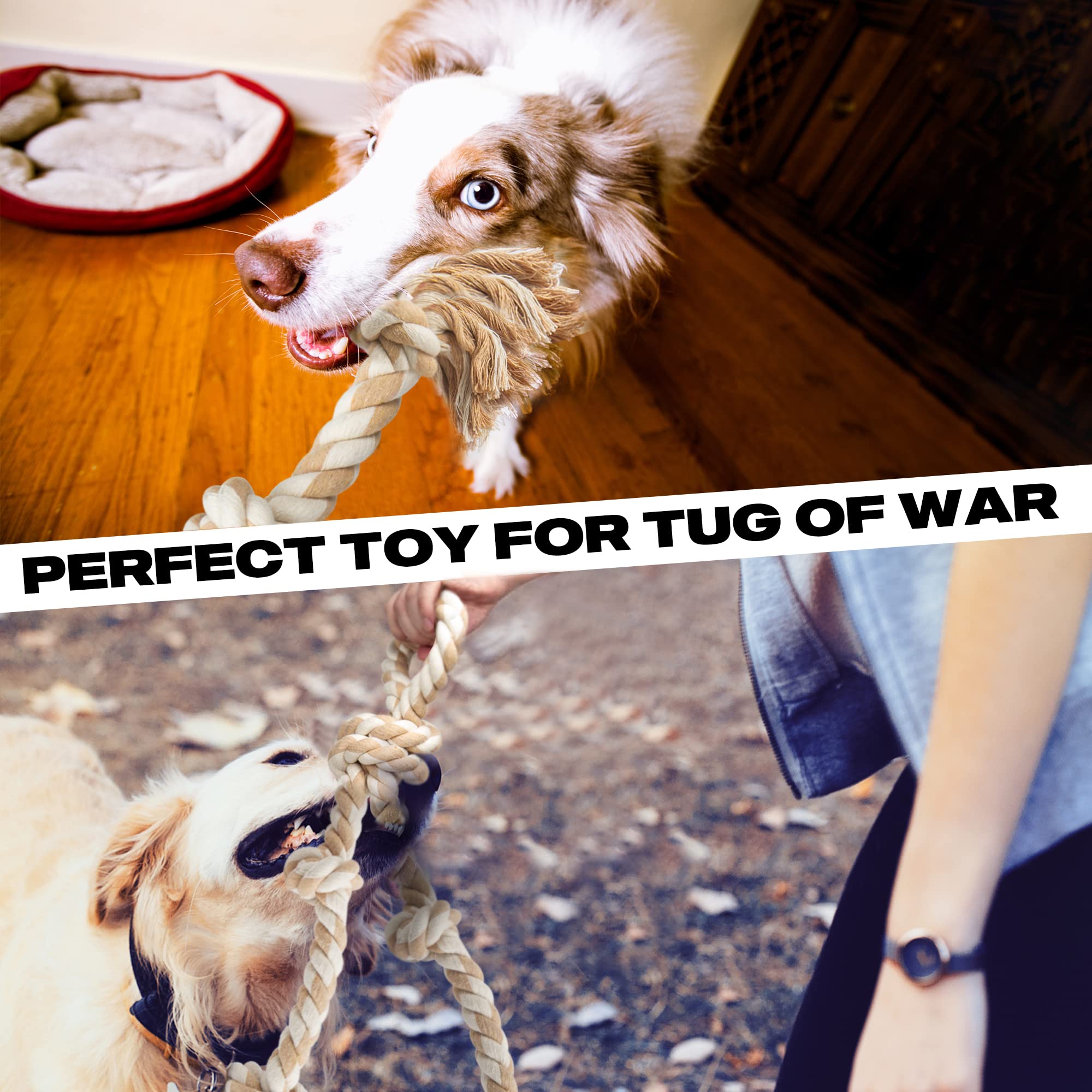 Fida rope toy in action during tug play for bonding
