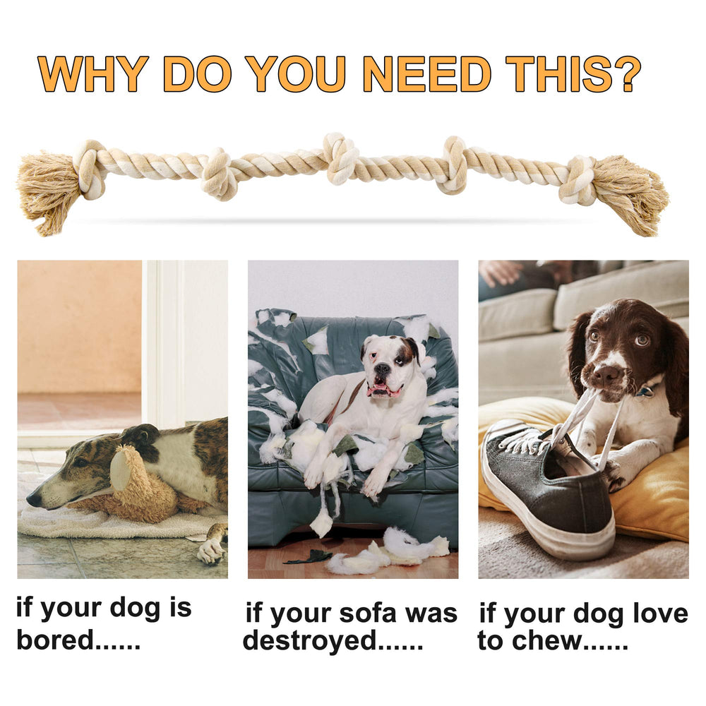 Fida rope toy outdoors in yard, perfect for supervised play.