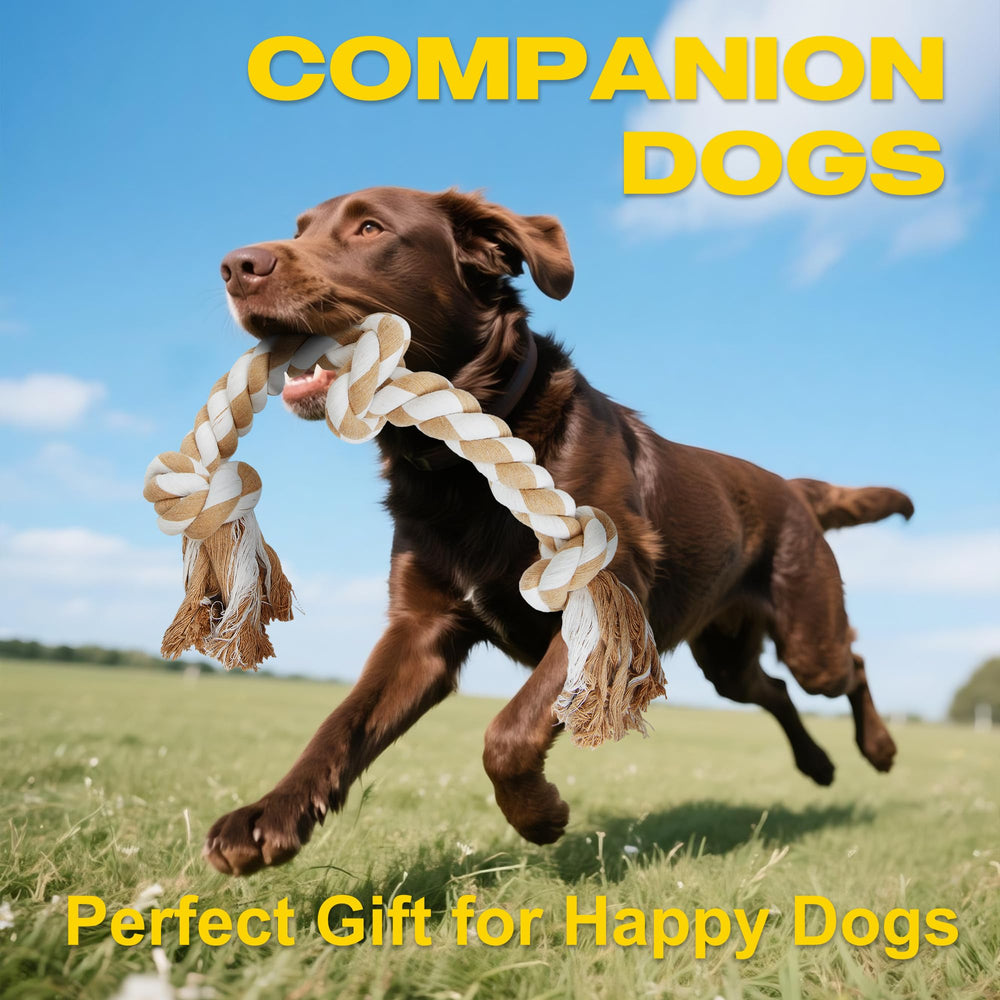 Fida dog rope toy shown during extended play for calm behavior.