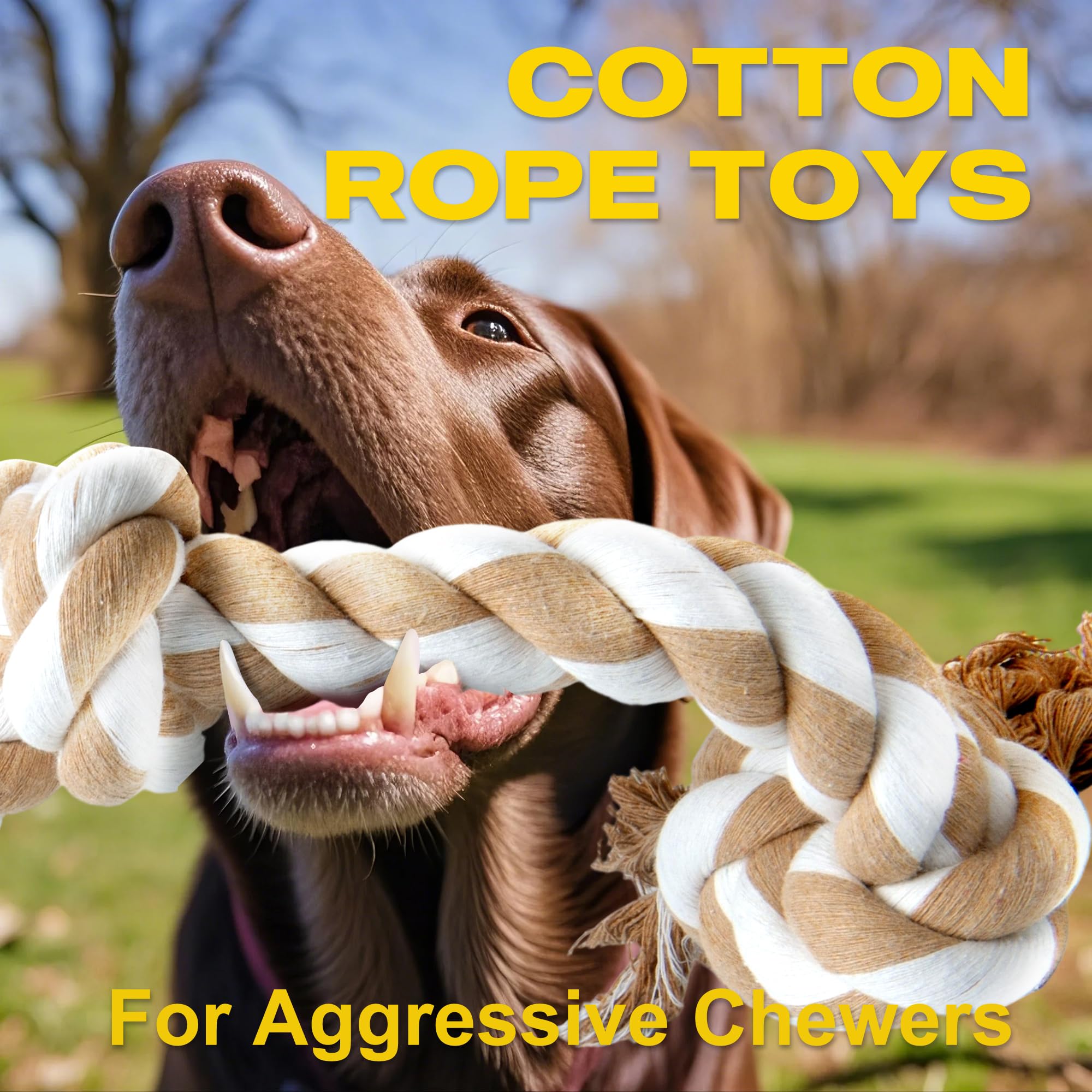 Fida rope toy shown in a tug of war setup for bonding and exercise.